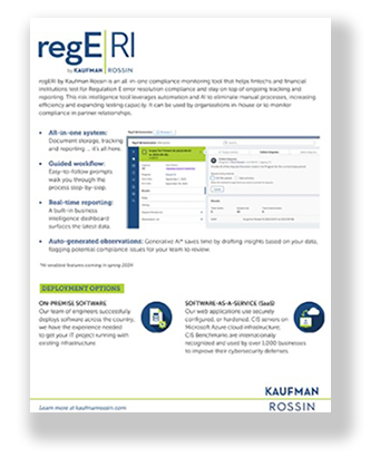 brochure thumbnail about regERI, a compliance monitoring tool for fintechs and financial institutions